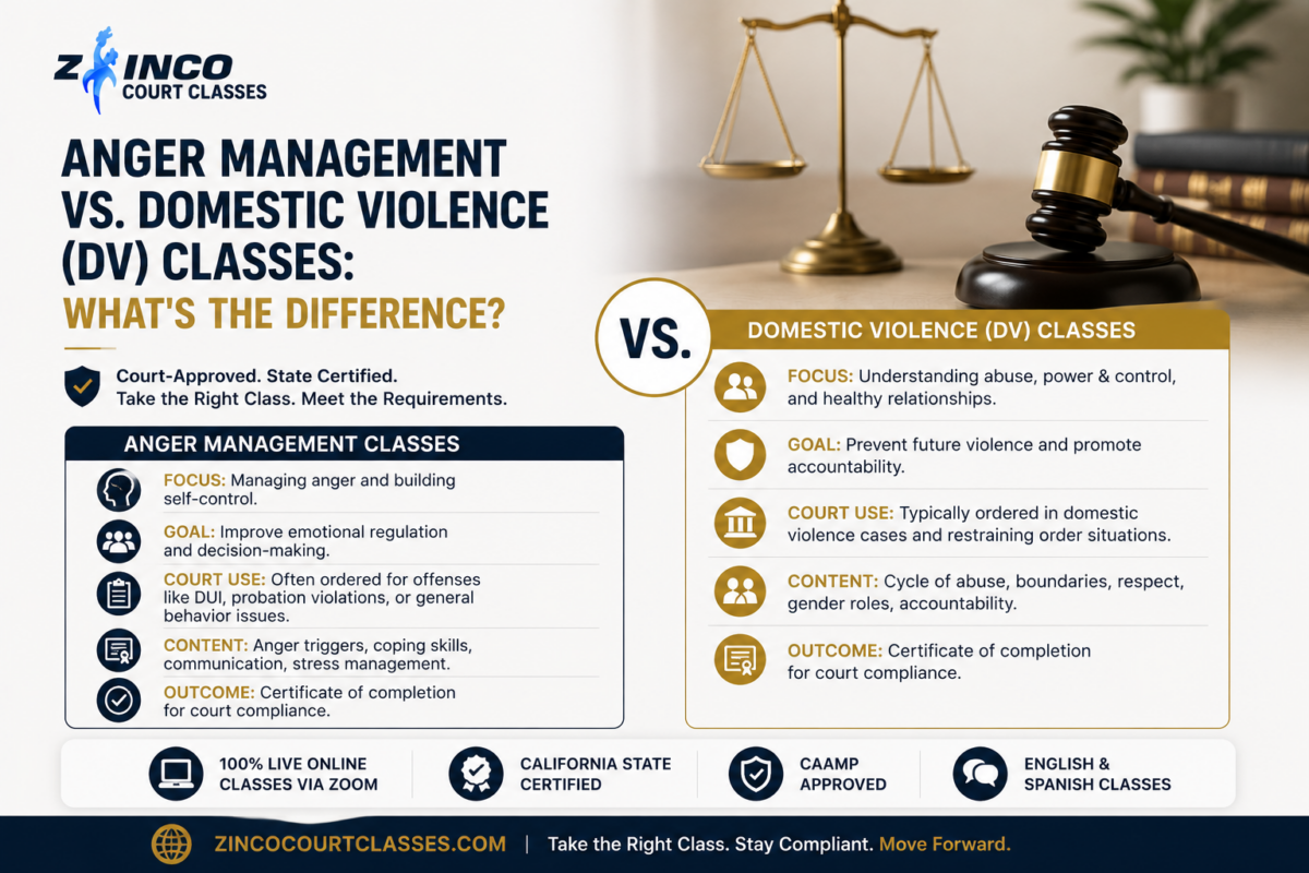 Comparison of anger management classes and domestic violence classes showing differences in purpose, court requirements, and program focus