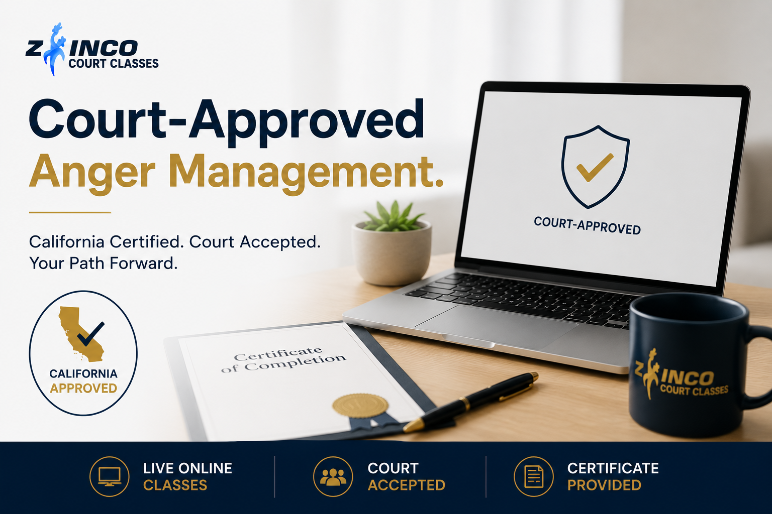 What Counts as Court-Approved Anger Management in California?