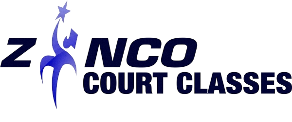 Zinco Anger Management Online Court Classes